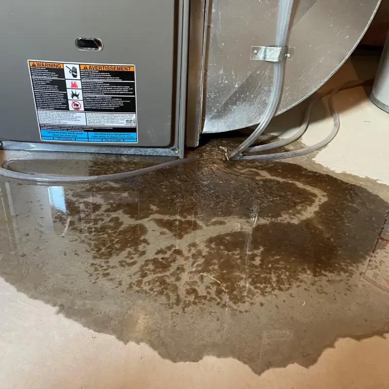 Appliance Leak Cleanup in Batesville, AR