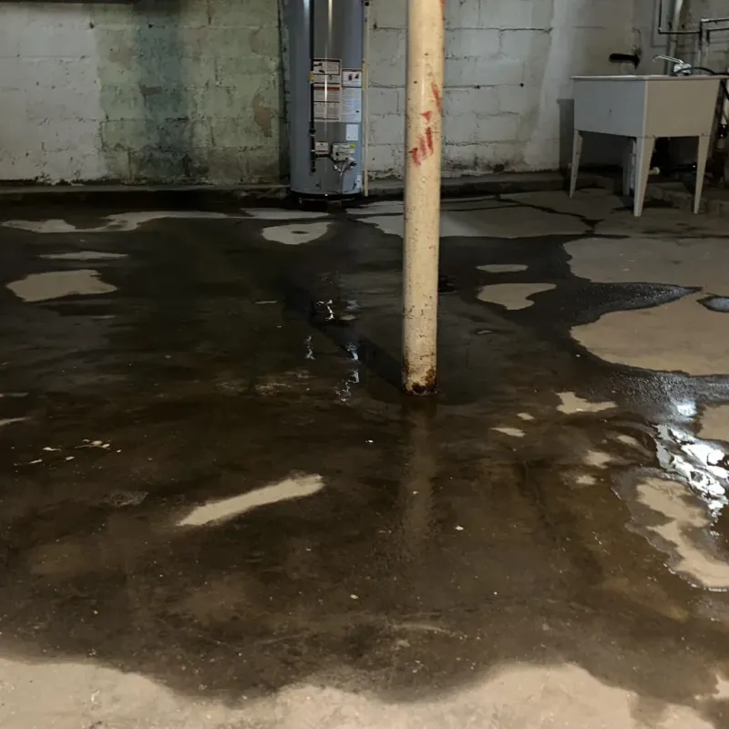 Emergency Water Extraction And Removal in Batesville, AR